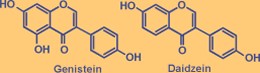 isoflavones